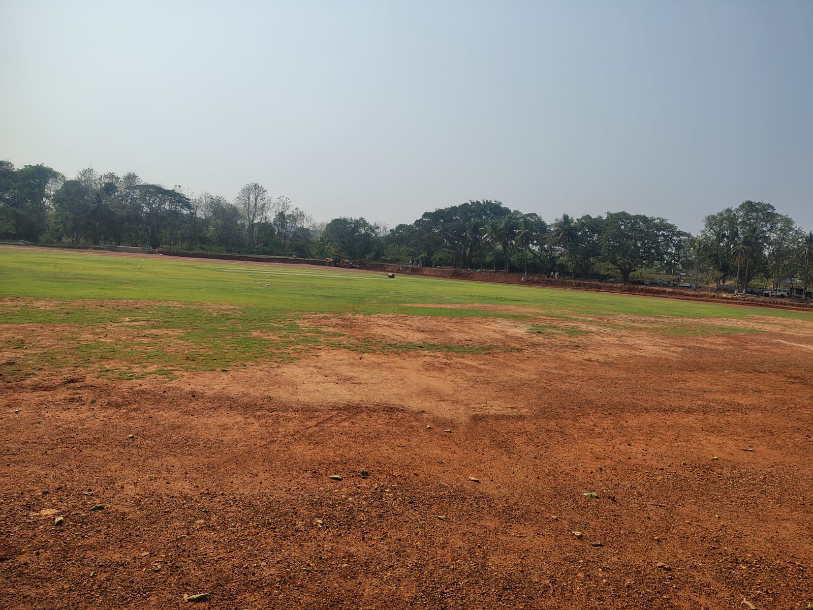 Cricket outfield