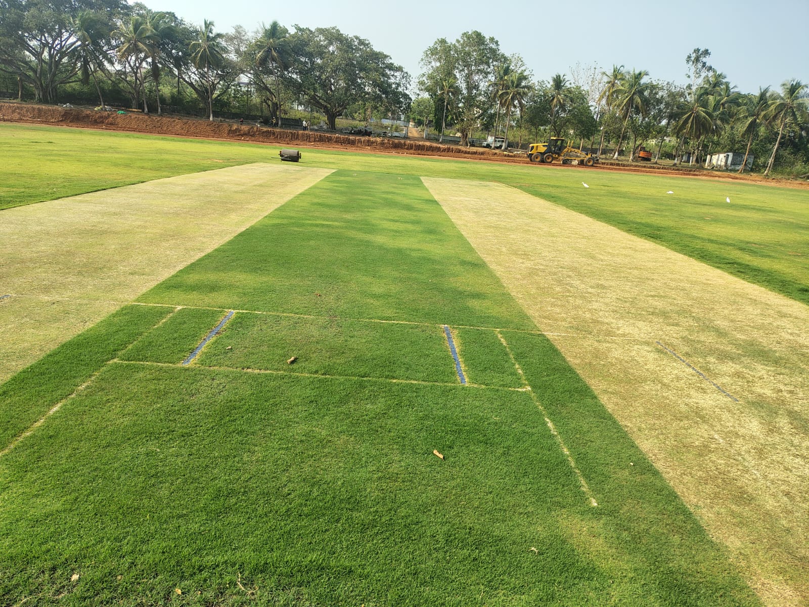 Turf cricket wicket